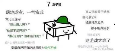 带你去吃瓜瓜哥视频,揭秘网红美食背后的故事